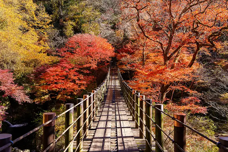 花貫渓谷の吊り橋
